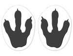 Sticker Feet  |  Monster Feet "Three Toed Beast" - Hero Ground Zero