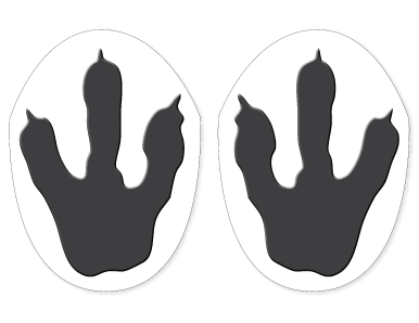 Three Foot Monster Sticker Feet - Monster – Hero Ground Zero