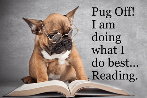 Poster - Pug off I'm Reading - POS-1006 - Hero Ground Zero