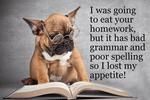 Poster - I Was Going To Eat Your Homework - POS-1002 - Hero Ground Zero